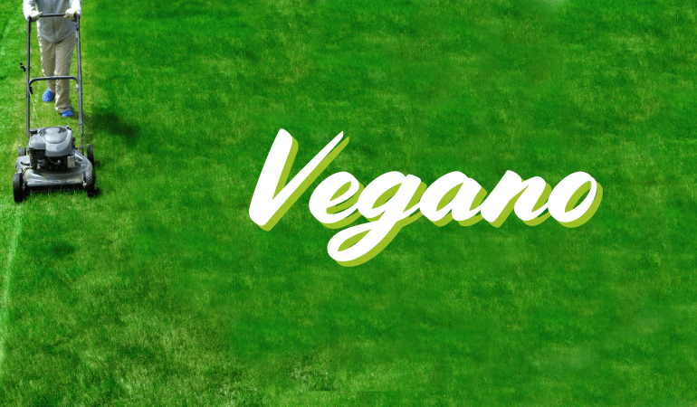 VEGANO – kim jesteśmy?