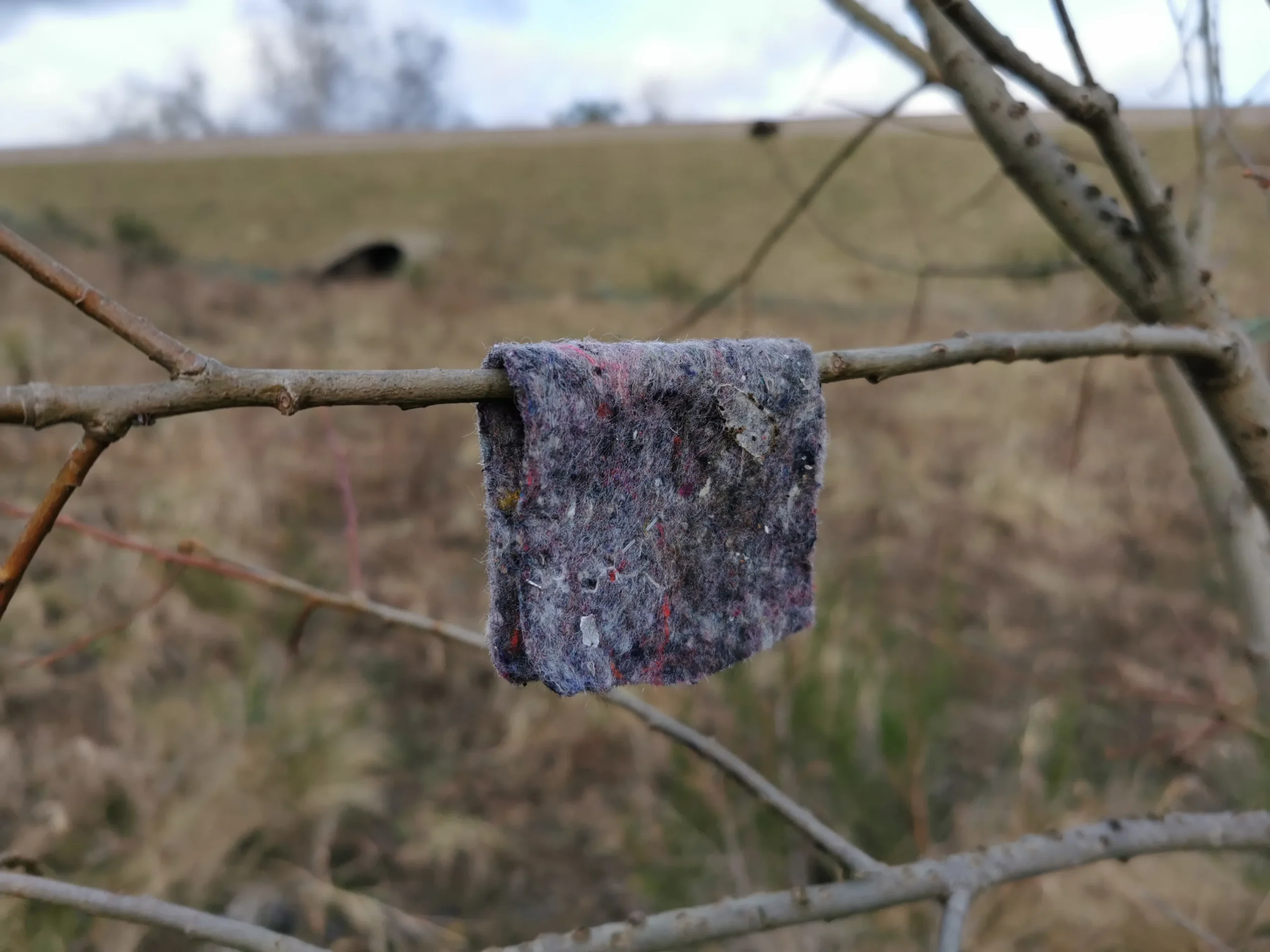 opaska na przędziorki i szpeciele