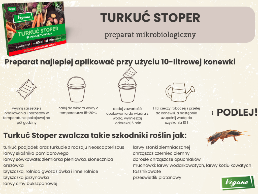 Jak działa i jak stosować Turkuć Stoper? - infografika