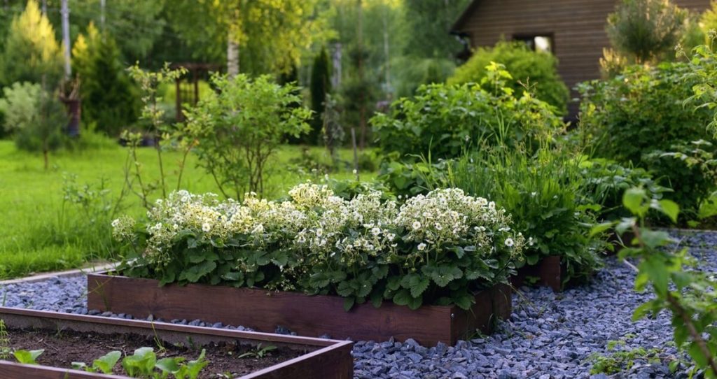 Grządka podwyższona w ogrodzie