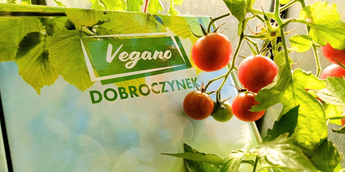 Dobroczynek kalifornijski