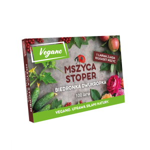 mszyca stoper Vegano Jak zwalczyć mszycę