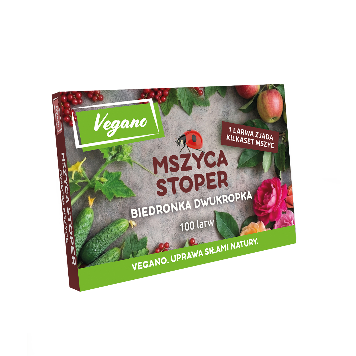 mszyca stoper Vegano - jak zwalczyć mszycę mszyca stoper Vegano Jak zwalczyć mszycę