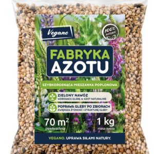 Poplon - fabryka azotu Vegano. Wysiew po głównym plonie.